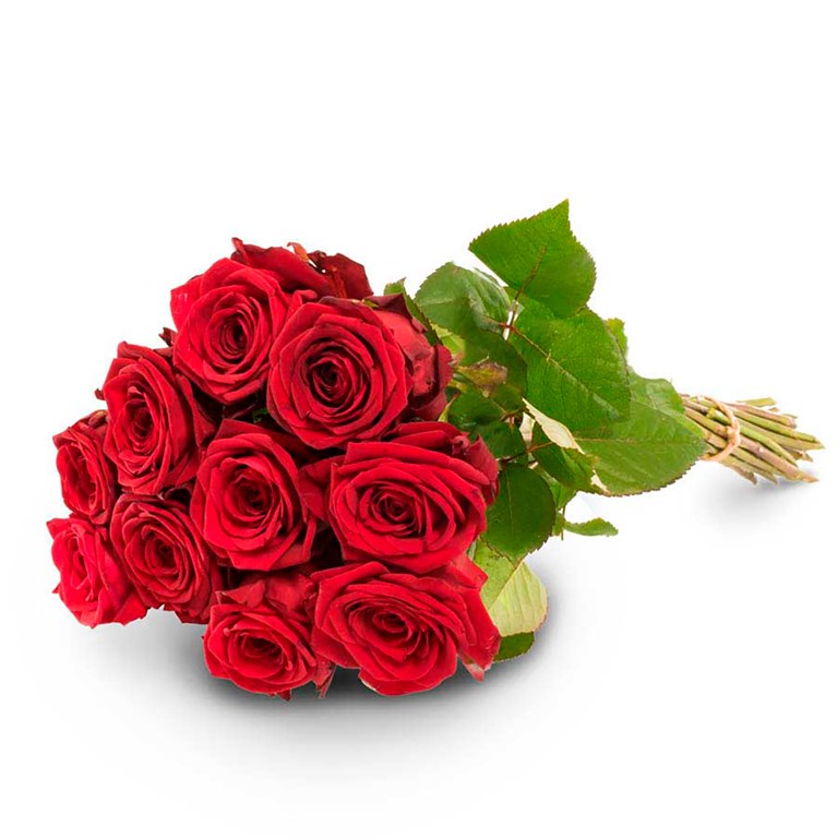 Ten Rosy Roses 10 Red Roses - FTD