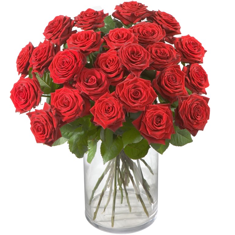 Tervis Red Roses Red Roses Classics - FTD